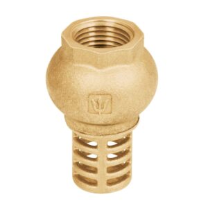 Pichancha tipo check de laton 1/2" Código: 49060